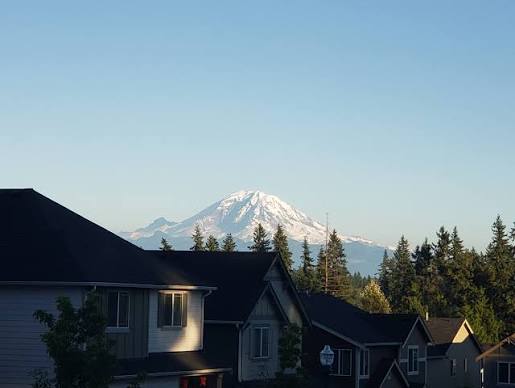 Eco-friendly carpet, tile, and upholstery cleaning services for homes and businesses in Seattle, WA