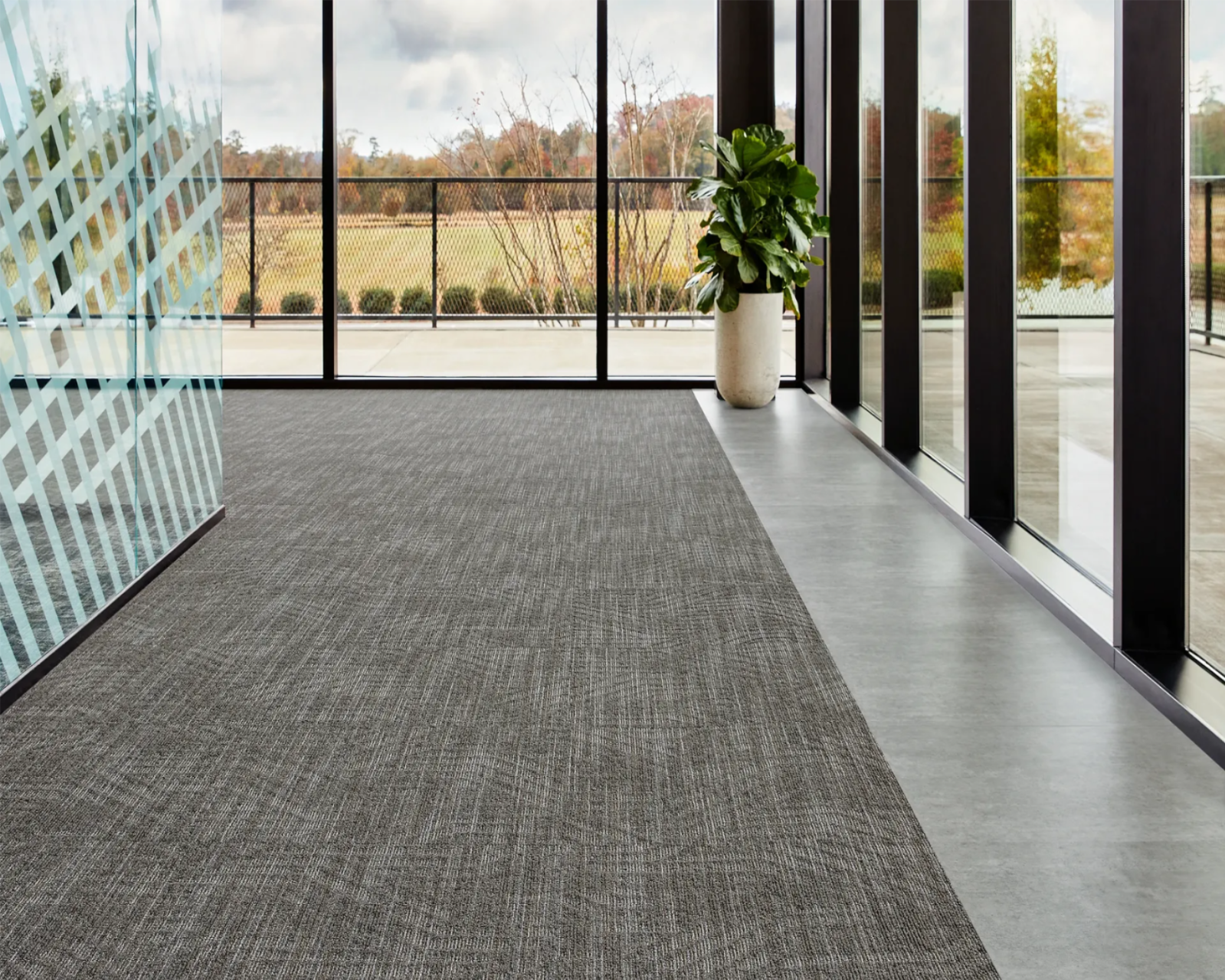 Commercial Carpet Flooring Store