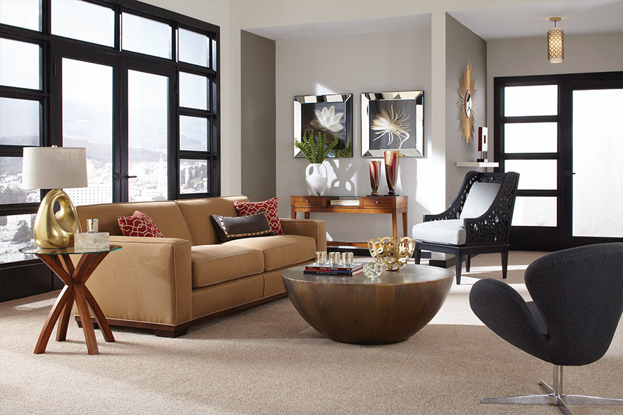 Carpet inspiration, Pocatello, ID