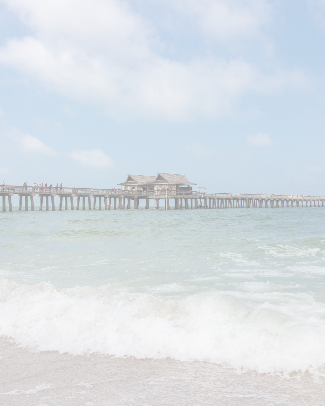 Shaw Carpet flooring trends Essential Surfaces of Naples in Naples, FL