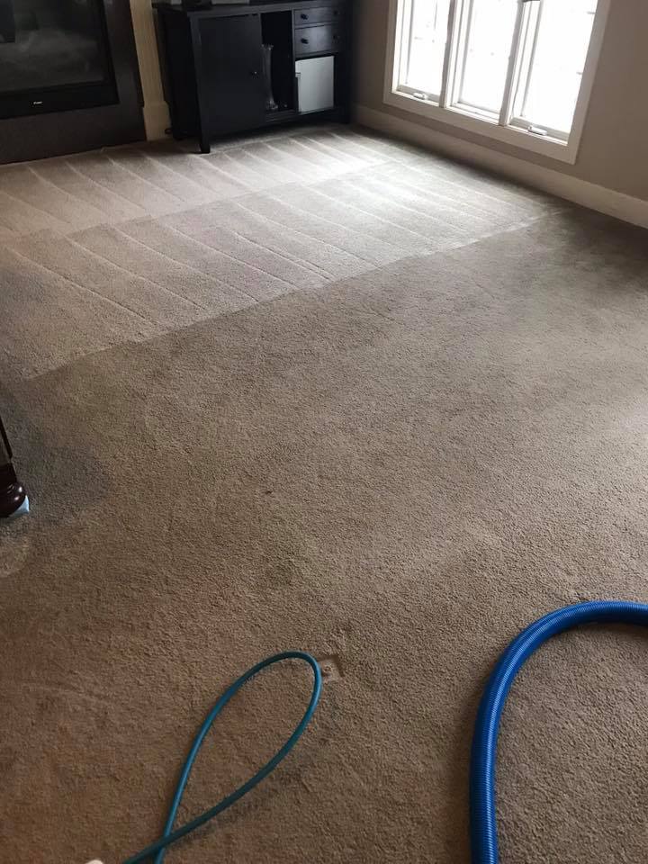 Carpet Cleaning - Magnolia Services