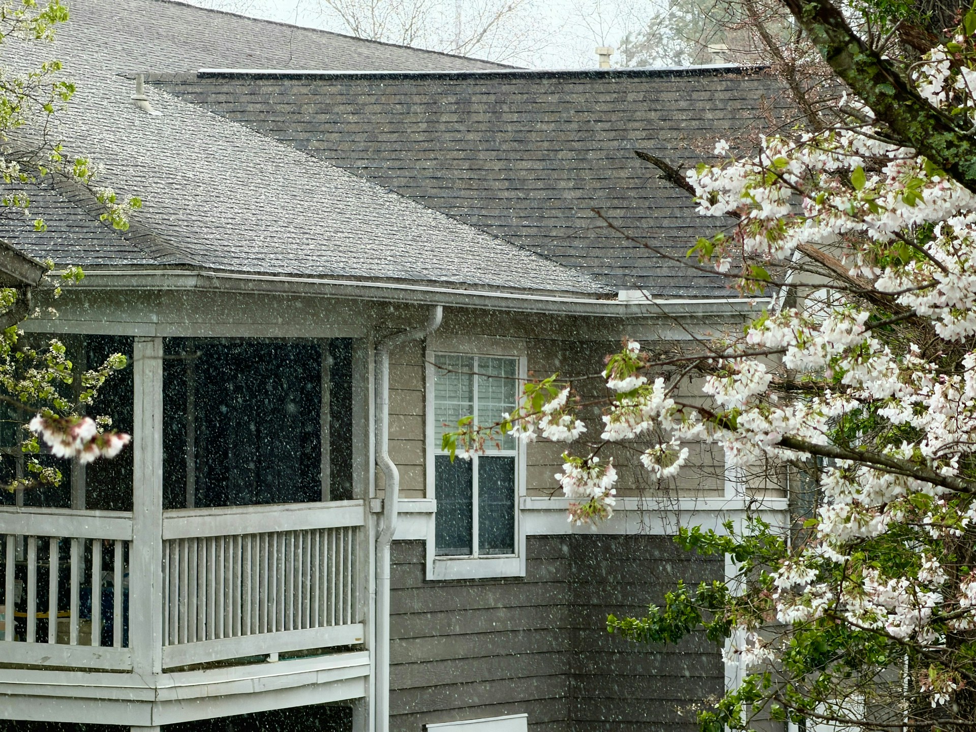 Gutter Cleaning Services in the Seattle Area