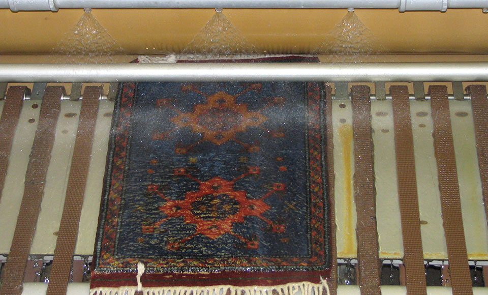 Blue and red oriental rug passing through the wringer rollers to press out rinse water