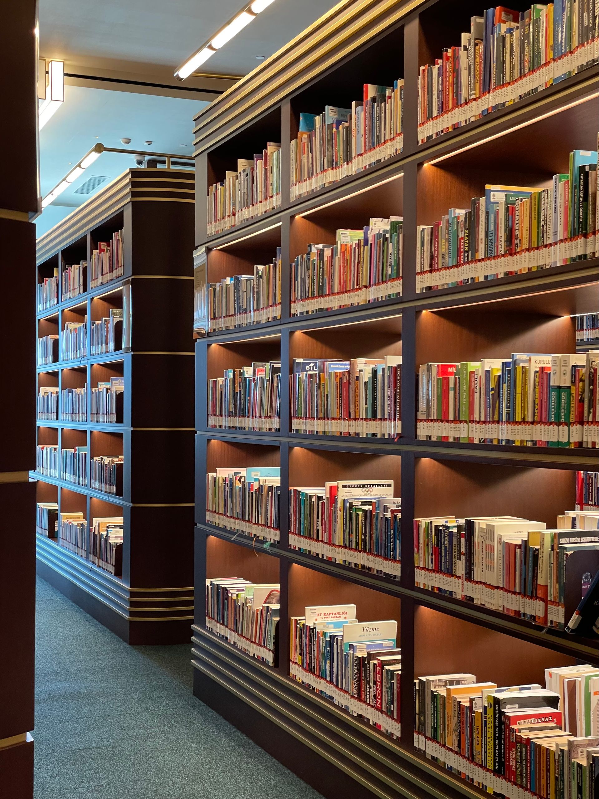 a shelves of books in a library