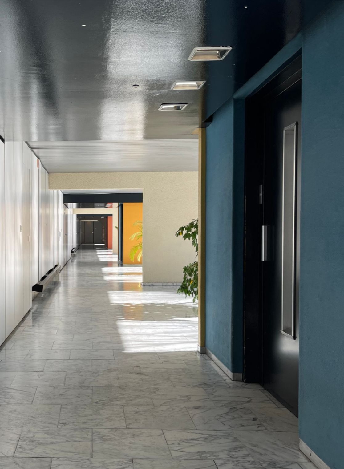 Commercial office corridor with a polished grey floor, teal accent wall and elevator doors