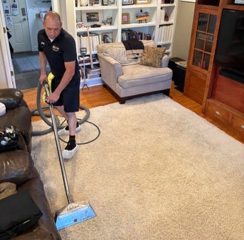 carpet protection Services in Northbrook, IL
