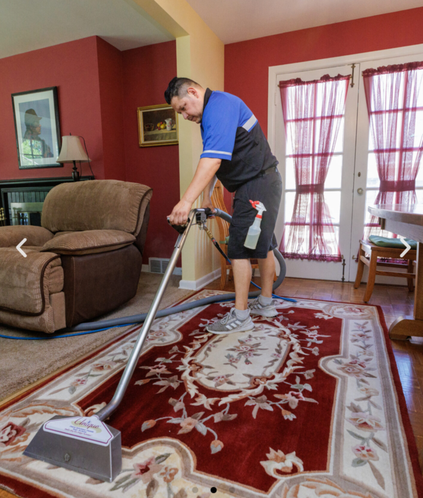  Area Rug Cleaning Services in Northbrook, IL