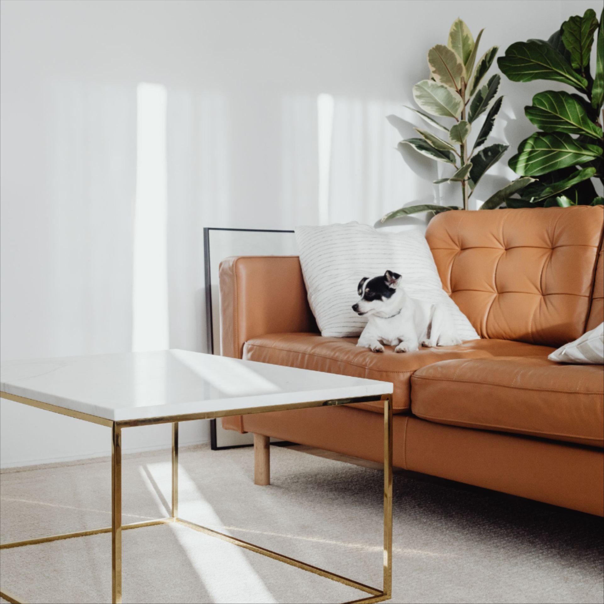 Leather Upholstery Cleaning Services in Northbrook, IL