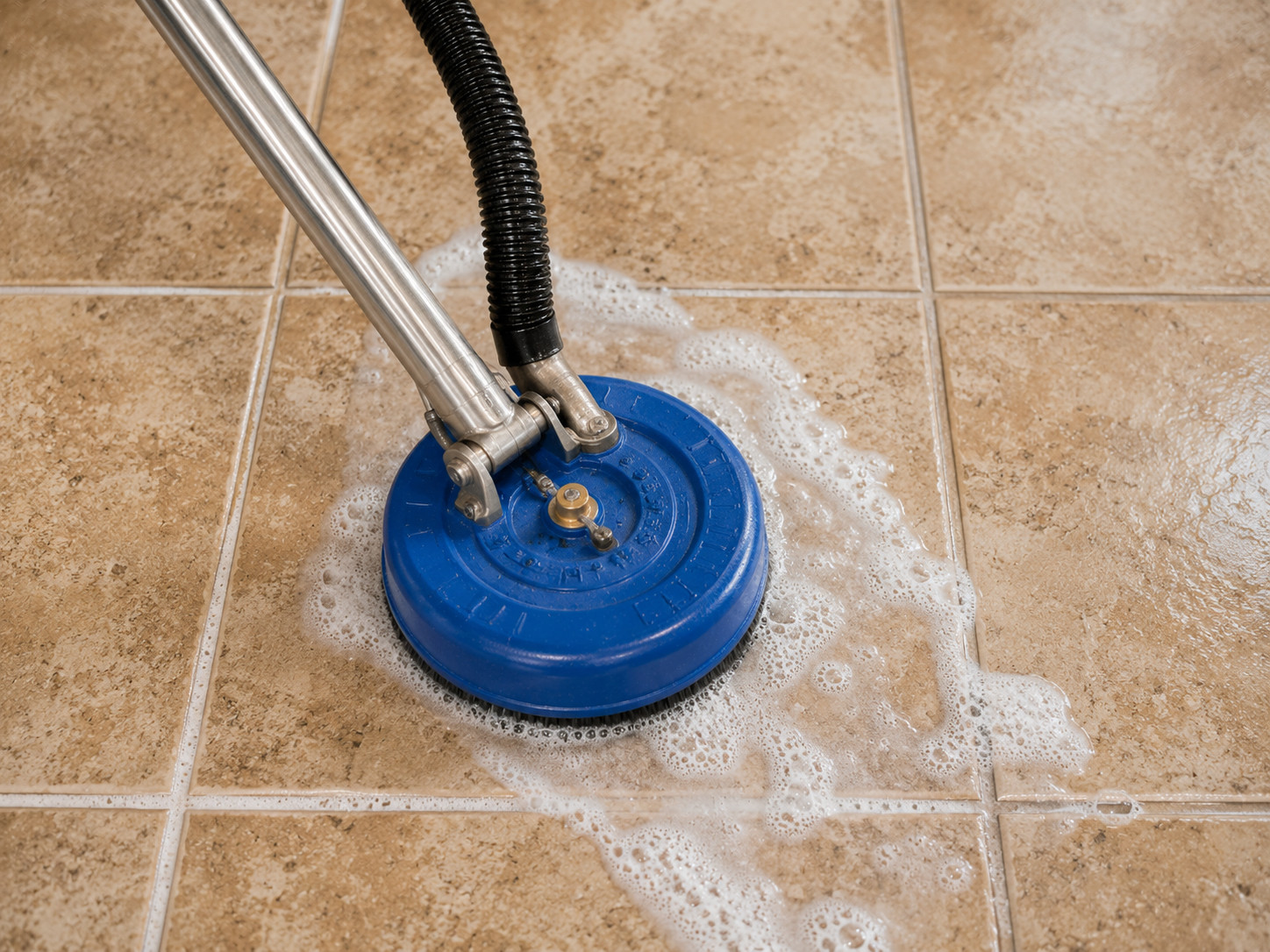 Professional Carpet Cleaning Services for Homes and Businesses in Mesa, AZ Professional Carpet Cleaning Services for Homes and Businesses in Mesa, AZ